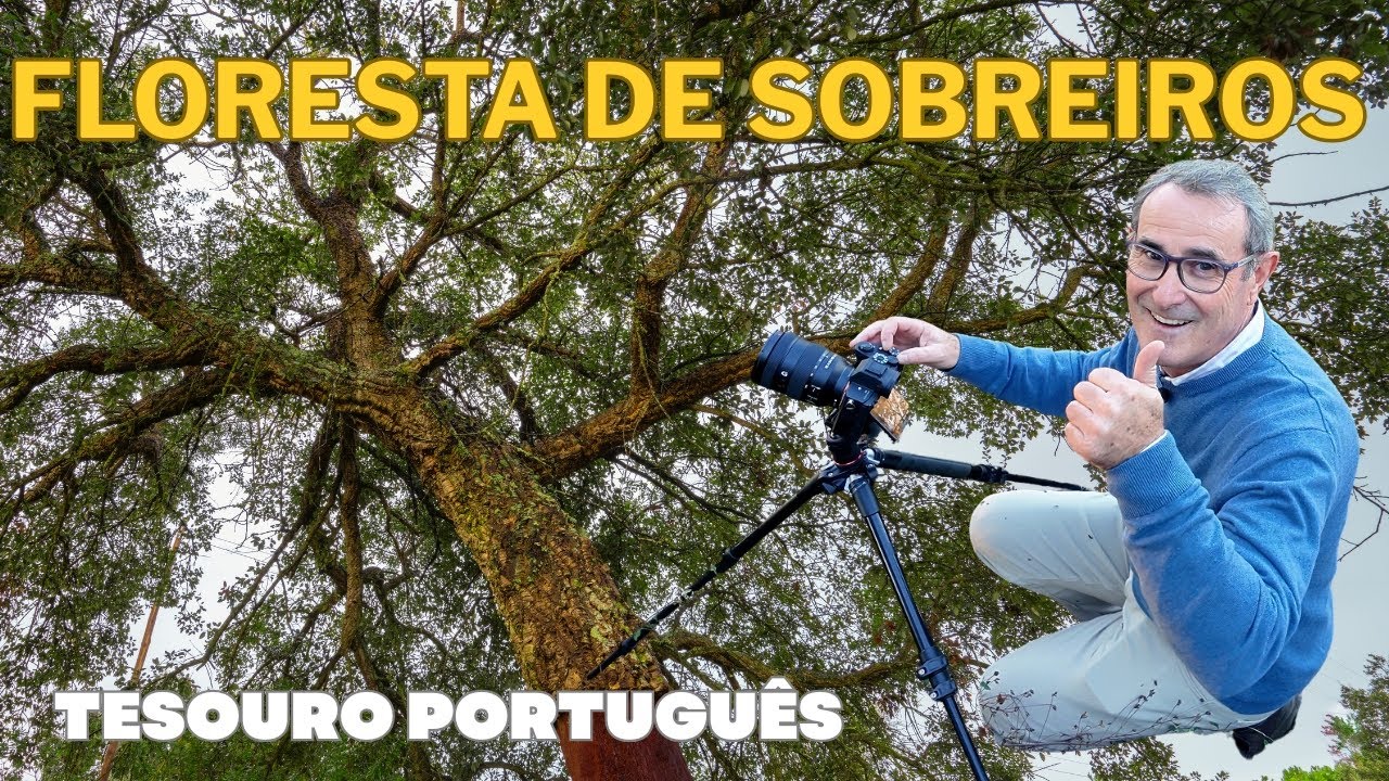 Floresta de Sobreiros: Tesouro Português - Vlog