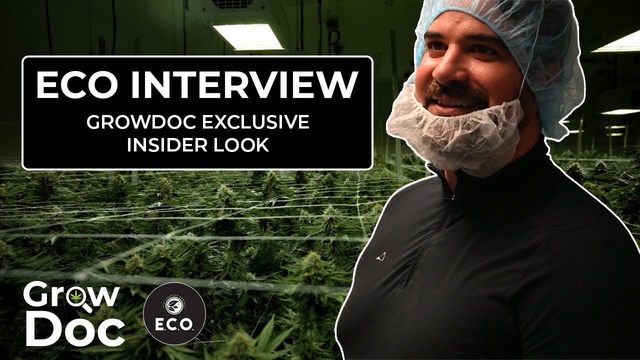 E.C.O Interview: Growing 100% Organic Cannabis in NB Canada