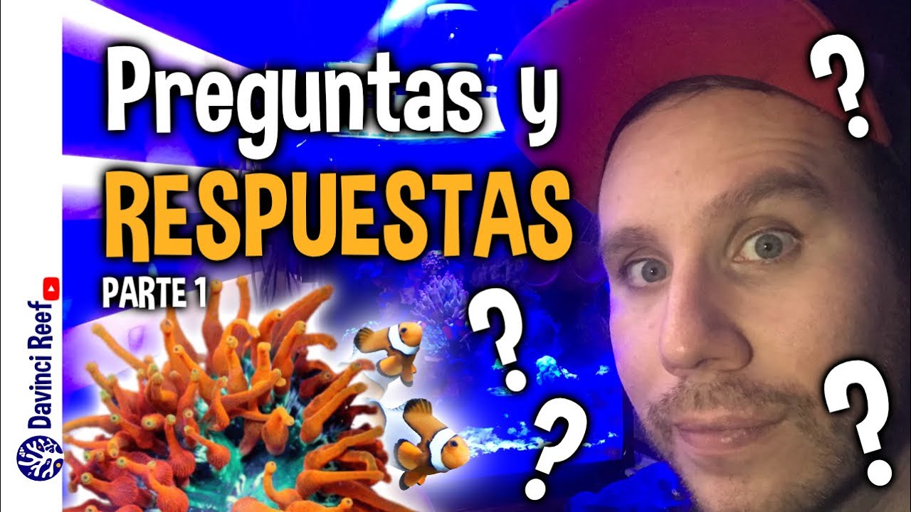 Acuario Marino - Preguntas  más frecuentes ¡No te pierdas la ANEMONA BURBUJA al final!