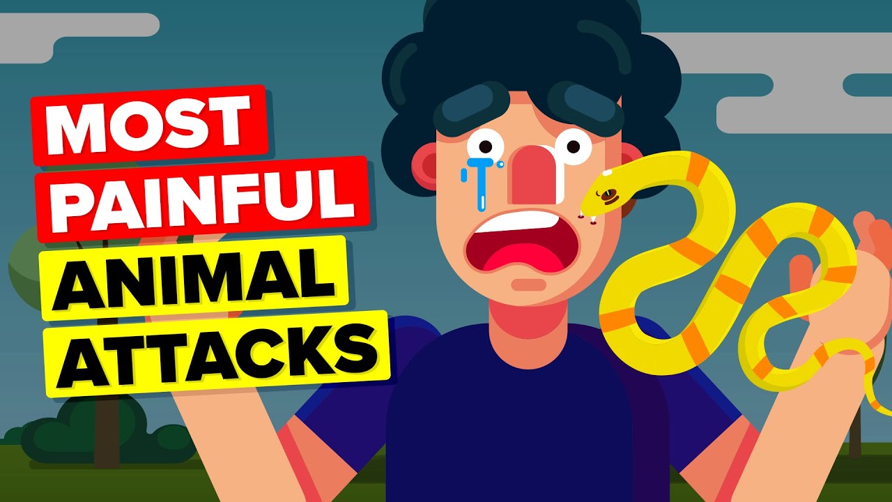 Most Painful Animal Attacks Human Could Ever Endure