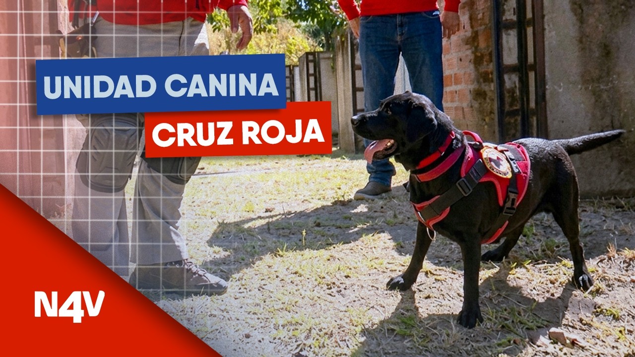 Unidad canina Cruz Roja | Noticias 4 Visión | El Salvador