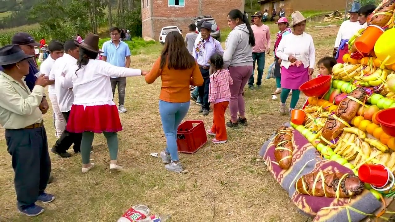 Roncadora los juveniles de collón (Parte 05)
