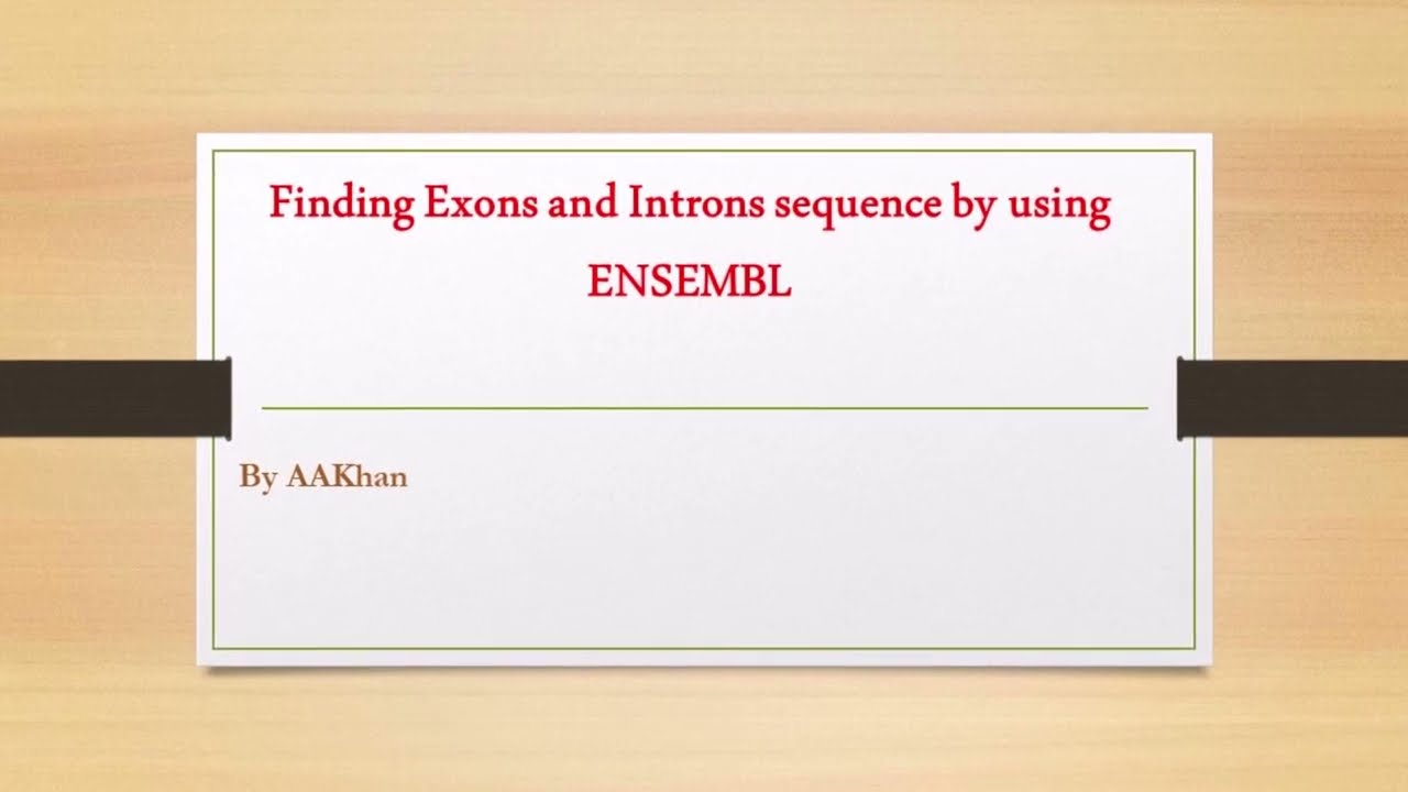 Finding Exons and Introns
