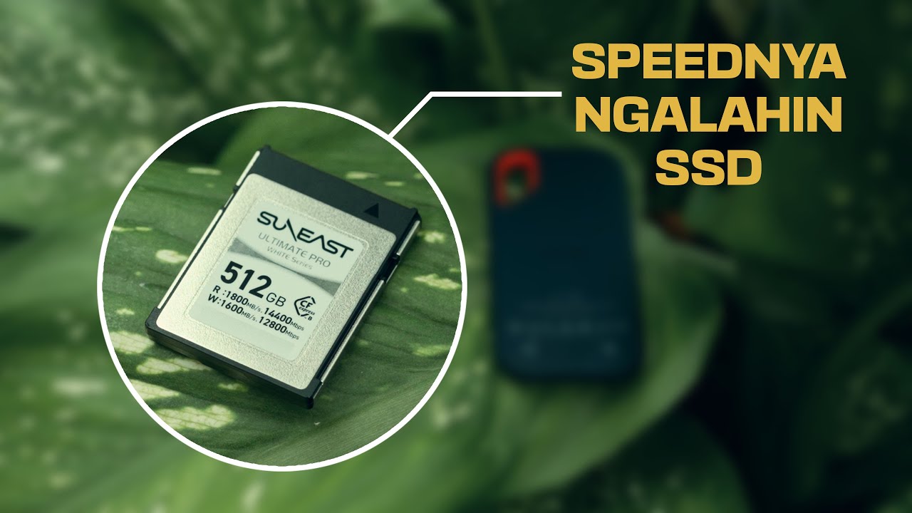 Suneast CFExpress Type B Buatan Jepang | Test Pake Nikon Z6