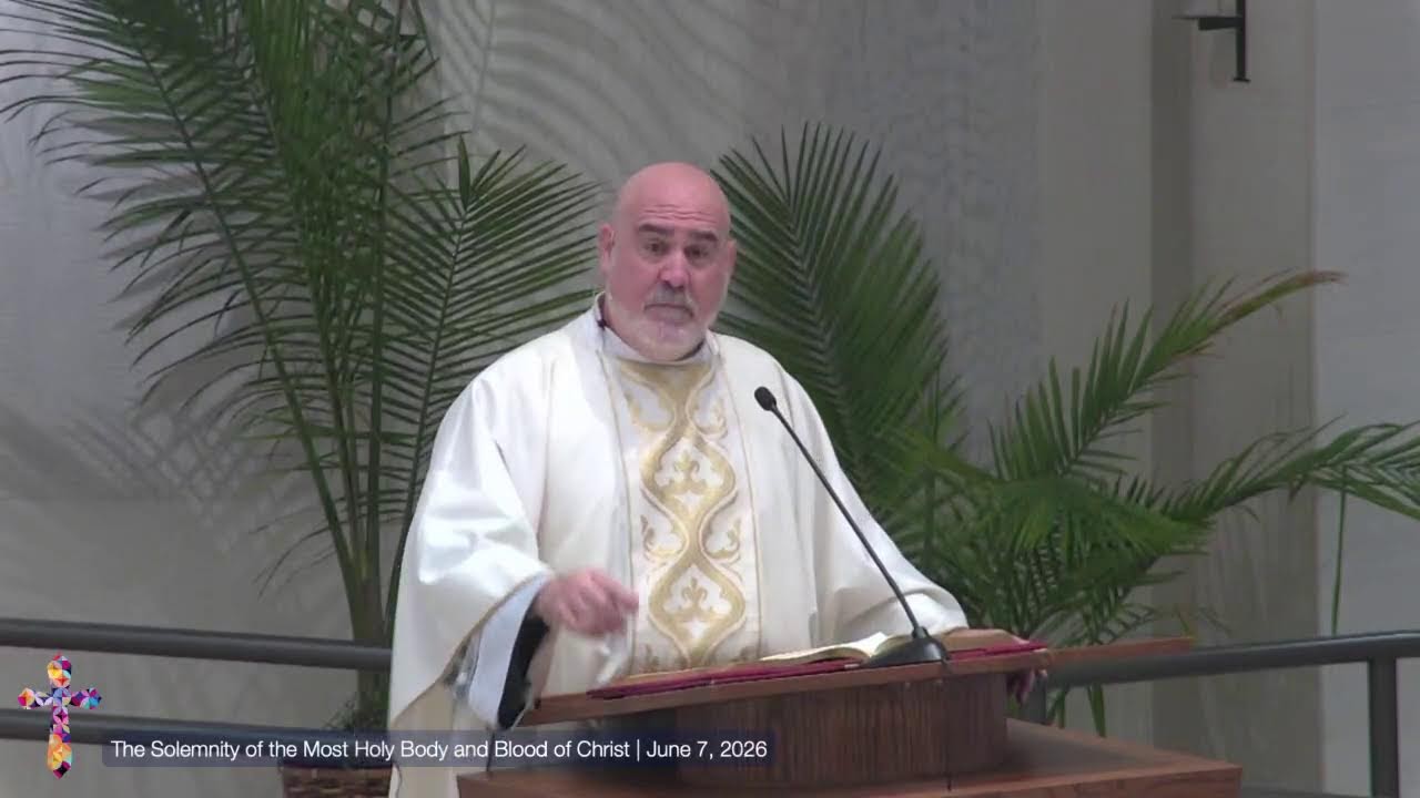 Fr Joe Sunday homily: The Eucharist: Our Response | June 7, 2026