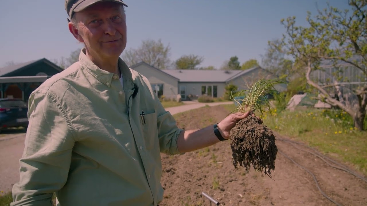 Regenerative principper i biodynamisk dyrkning - Opbygning af jordens frugtbarhed