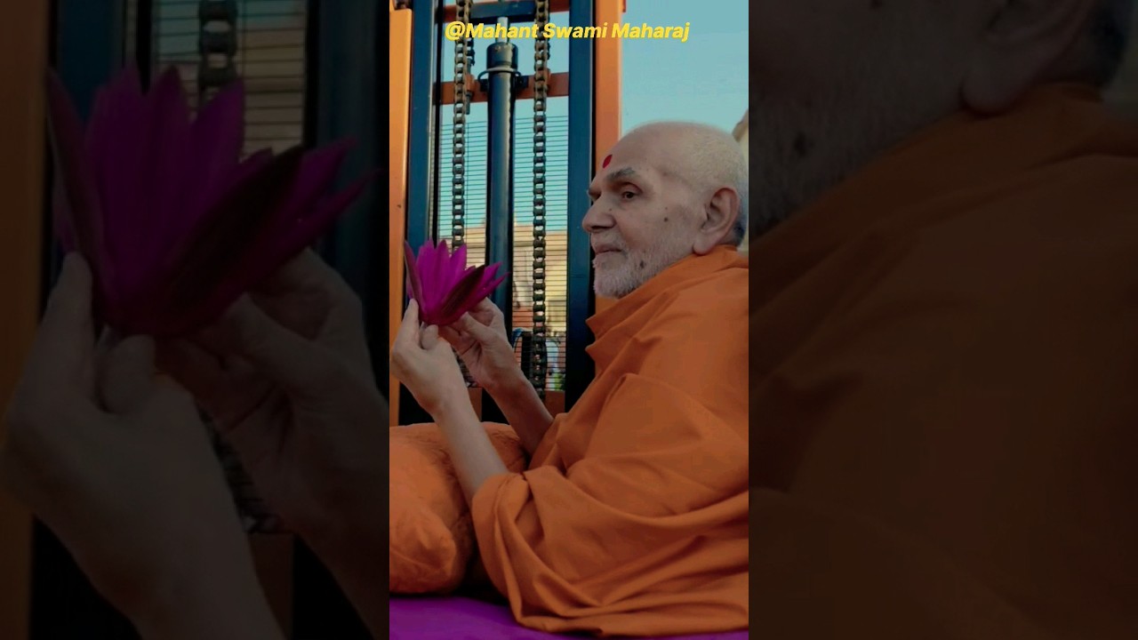 New Year Celebrations at BAPS | part-11 | 2024 | #shorts #mahantswamimaharaj #baps #shortvideo