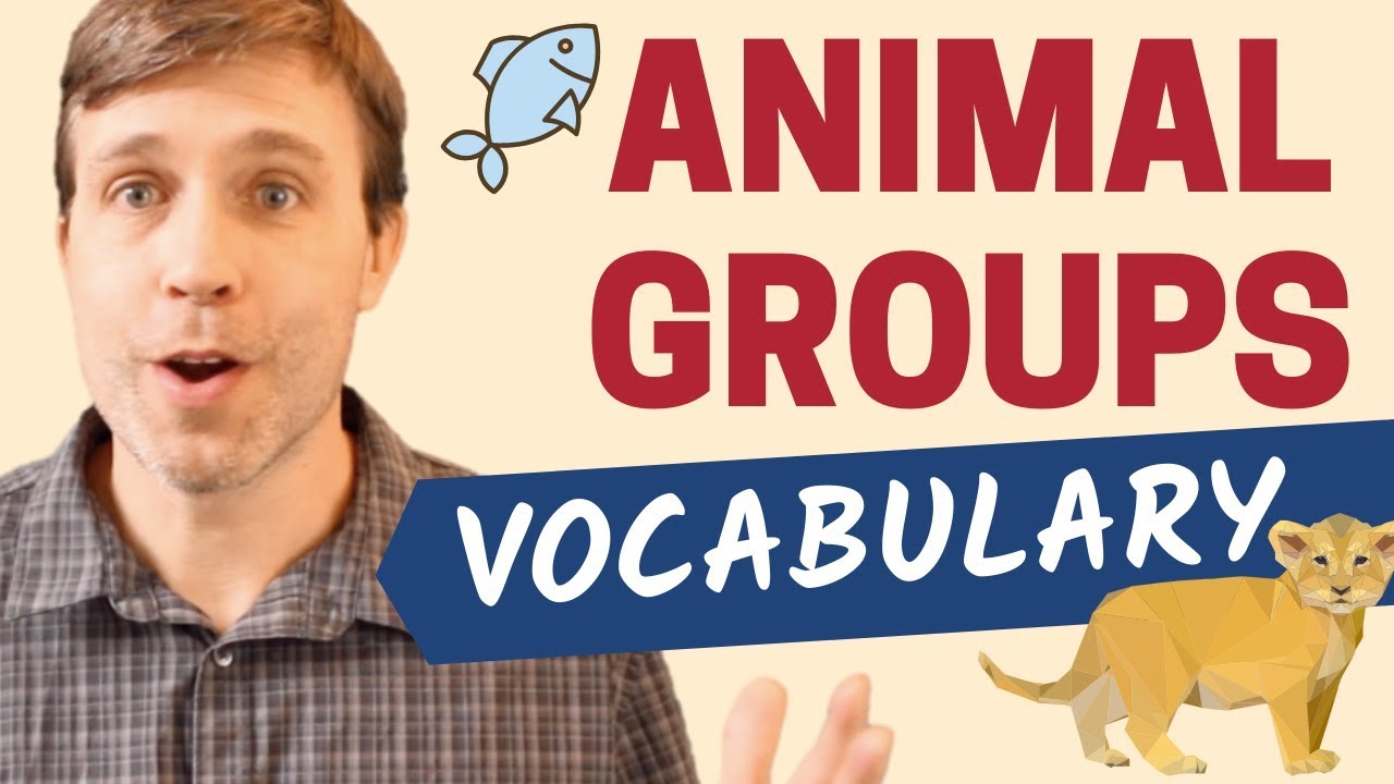 20+ ANIMAL GROUP NAMES | Useful Vocabulary Lesson
