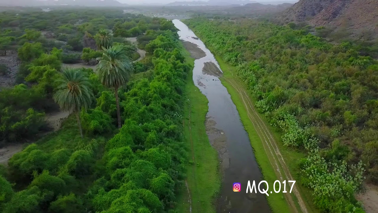 جمال الطبيعه في (سبت الجاره) شرق القنفذه 🌴🌾 ' '