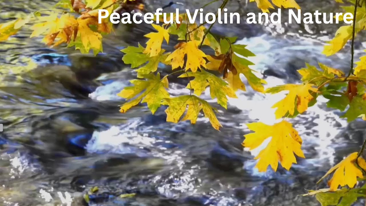 Calm Classical Violin 🎻 70+ Minutes | Relax, Study, Sleep