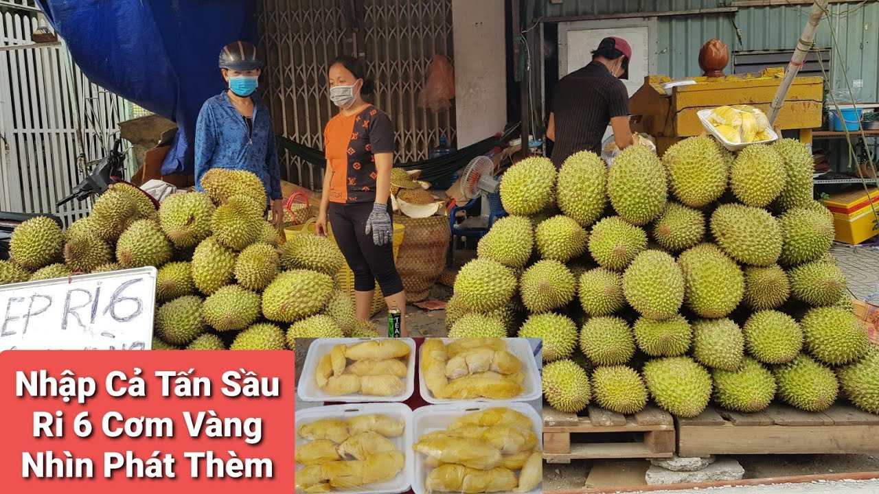 Hai Anh Chị Bán Sầu Riêng Trên Vỉa Hè Mới Nhập Cả Tấn Sầu Riêng Ri 6 Cơm Vàng Hạt Lép Nhìn Phát Thèm