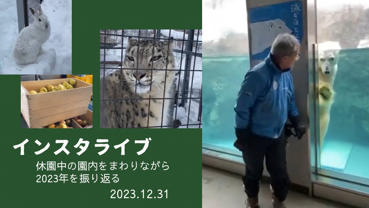 2023年12月31日インスタライブ 休園中の園内をまわりながら2023年を振り返る