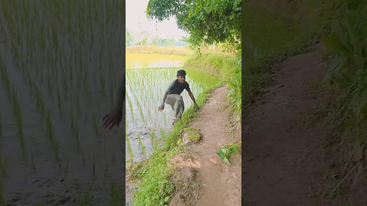 h&uacute; hồn 😂😂 #reviewvui #haihuoc #minhtv #vuive #giaitri
