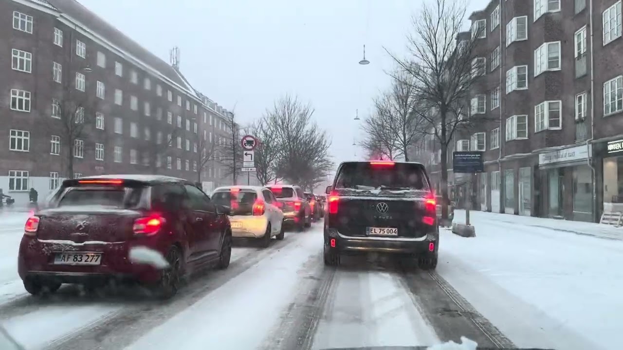 Snow Storm in Denmark #copenhagen #denmark