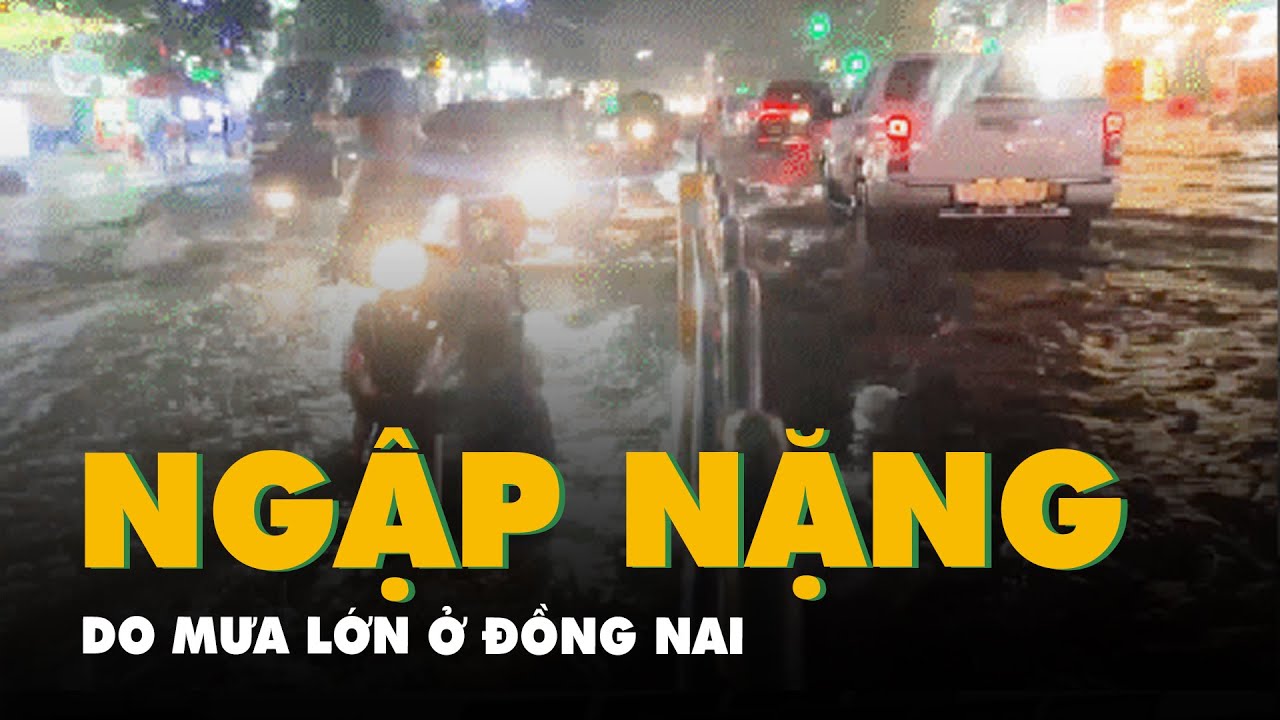 Mưa lớn trong đêm, nhiều tuyến đường ở Đồng Nai bị ngập đến yên xe máy