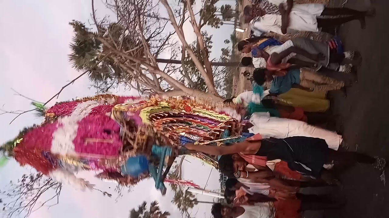 Kakkalani radhakavadi 2019