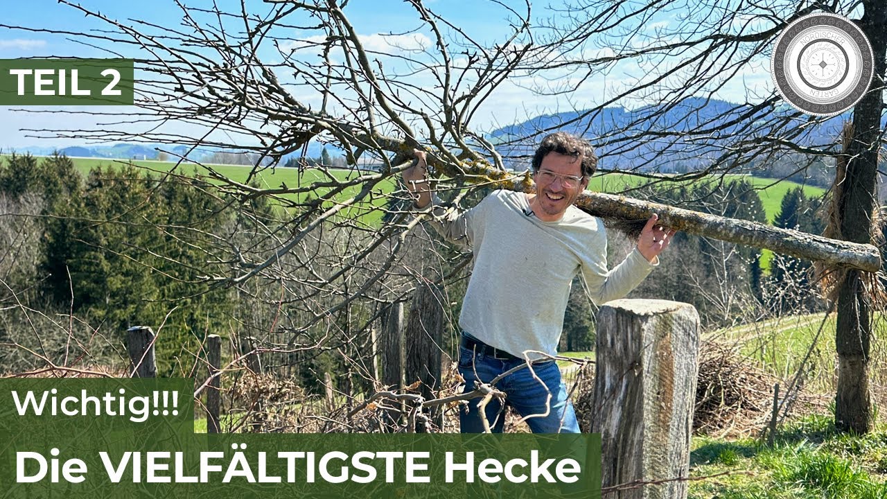DIY - bei dieser GENIALEN HECKE EXPLODIERT das LEBEN