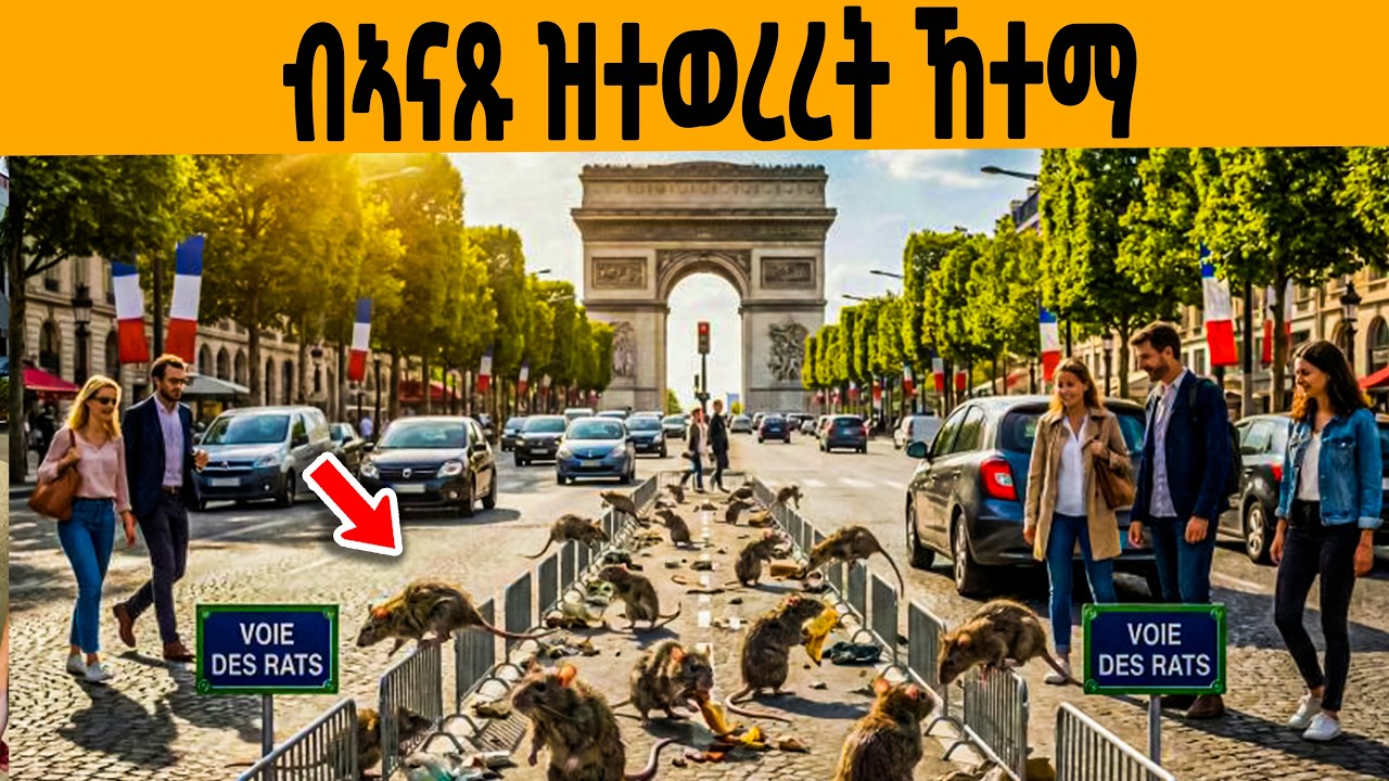 🔥ዓለም ዘገረመ ኣብ ፈረንሳይ ዝግበር ጉድ!