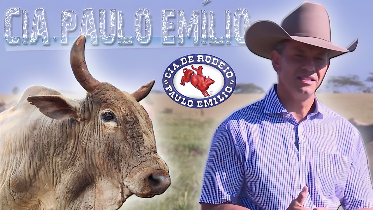 Especial Cia de Rodeio Paulo Emílio 🐂 Bandido, Bipolar e Agressivo