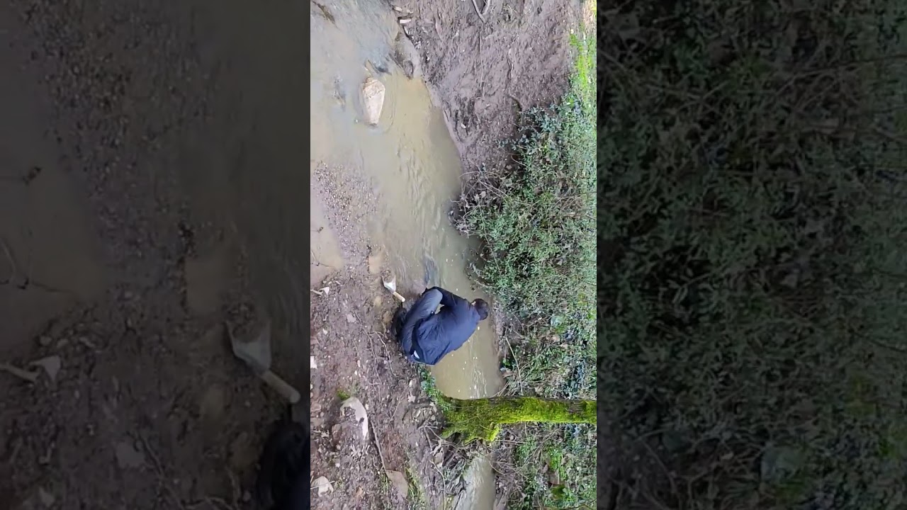 Saç tava ile altın arama...