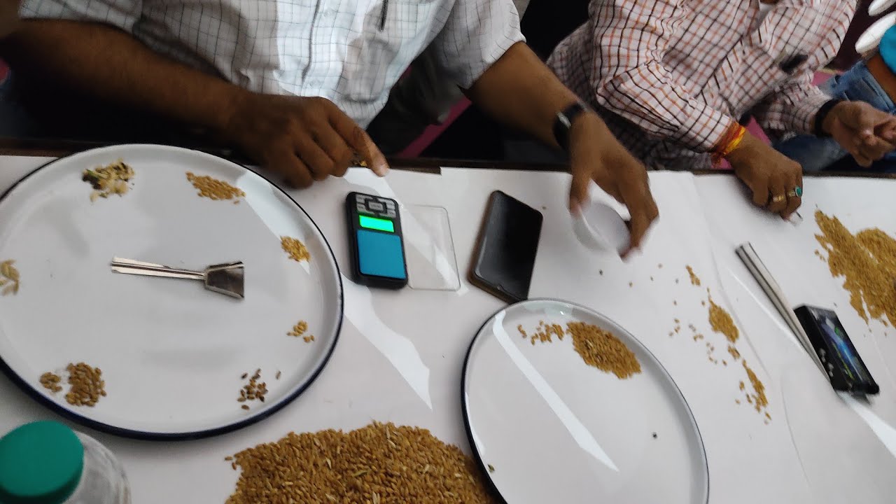 गेहूं खरीदी केंद्र में faq गैहु का परीक्षण