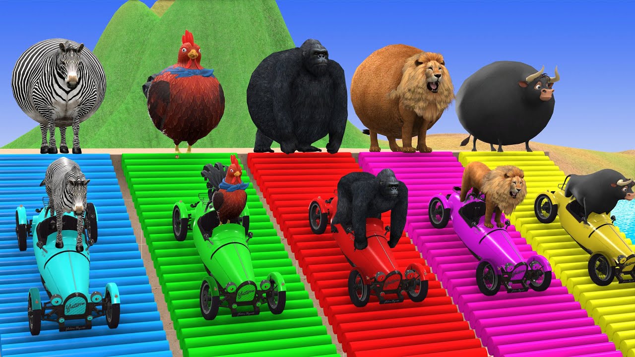 Long Slide Game With Cow Elephant Gorilla Hippopotamus Tiger 3d Animal Game Funny 3d Animals
