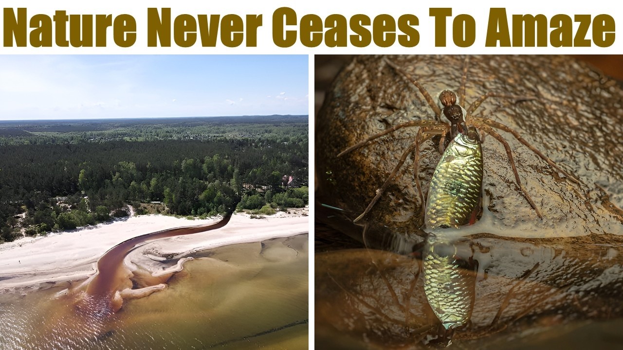 “THE BEAUTY OF NATURE”: Pics To Prove That Nature Never Ceases To Amaze