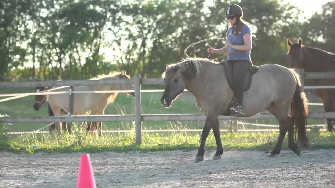 Camilla Stormont & Perle Soleil - I Kept Dreaming