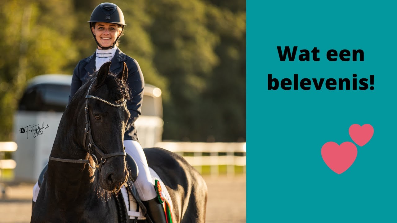 Ek K& PP Friese dressuur paarden | Kür op muziek #PHDdressage