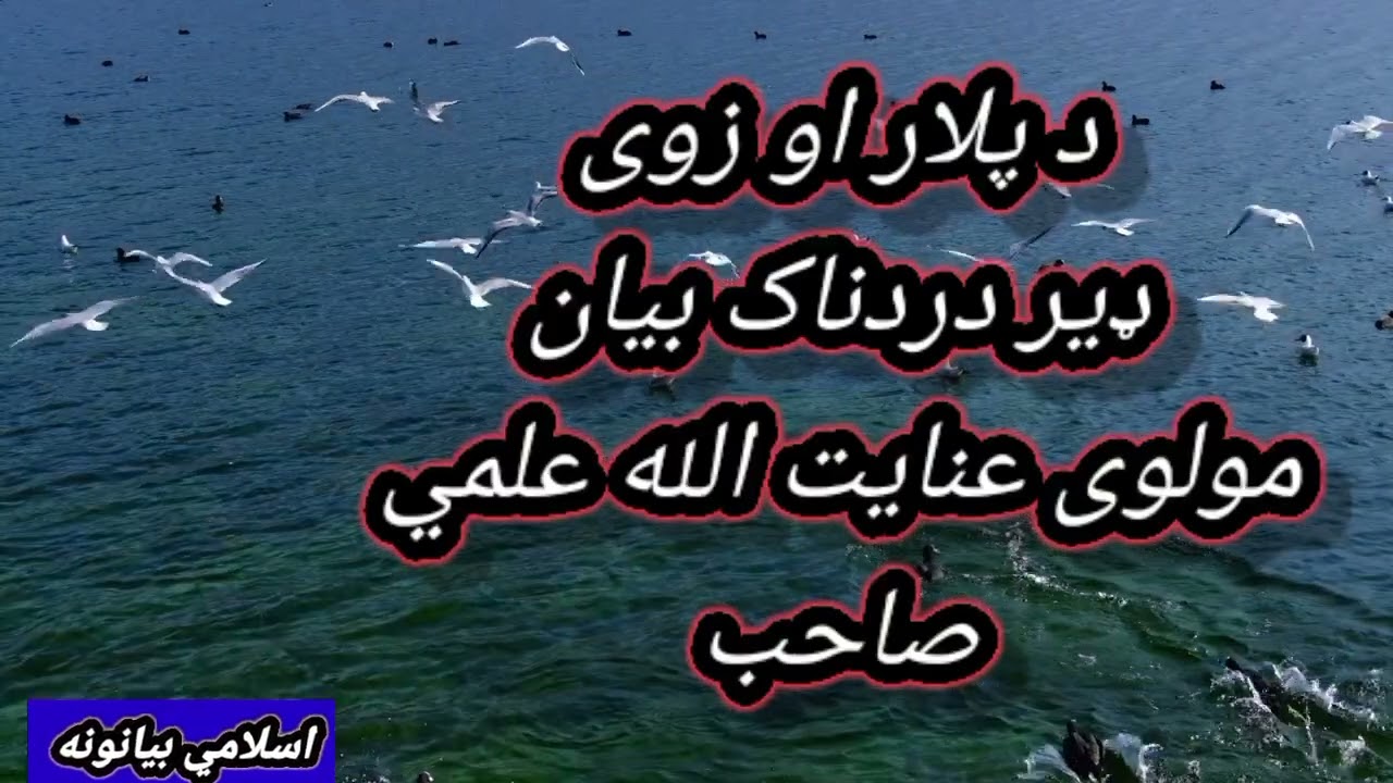 د پلار او زوی ډیر دردناک بیان مولوی عنایت الله علمي صاحب