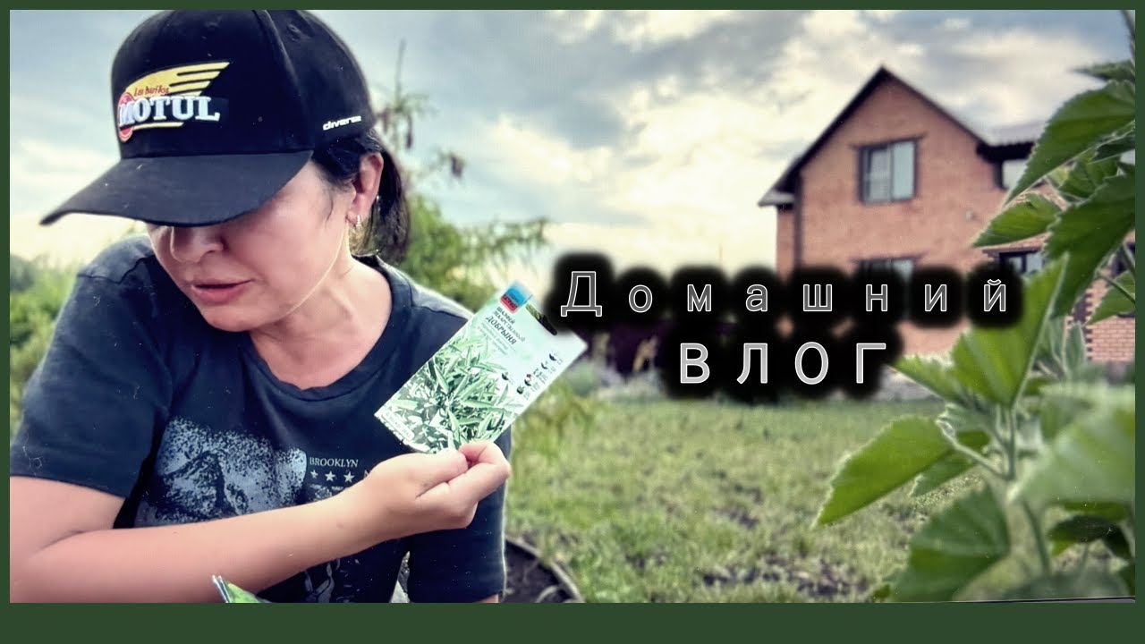 ВЛОГ Бытовой  / Уборка / Занимаюсь цветами / Бытовые дела по дому