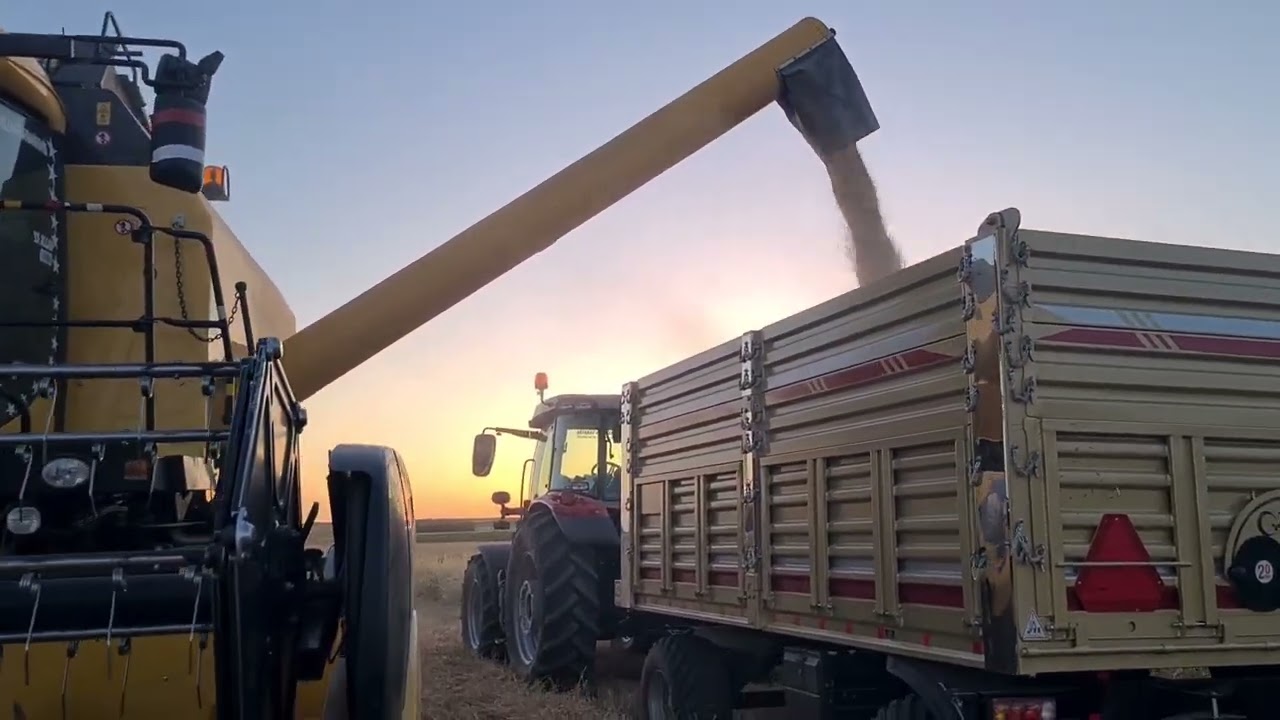 2024 yılı ilk arpa hasadı
