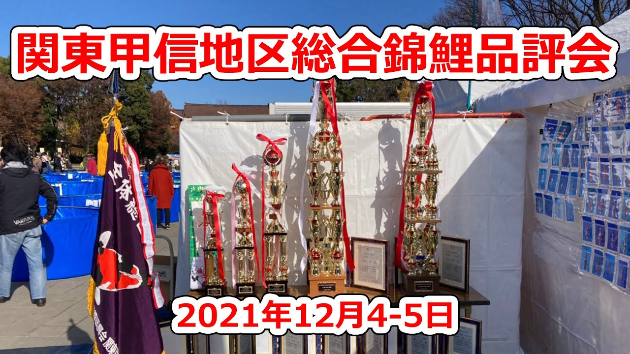 関東甲信地区総合錦鯉品評会【受賞鯉①】