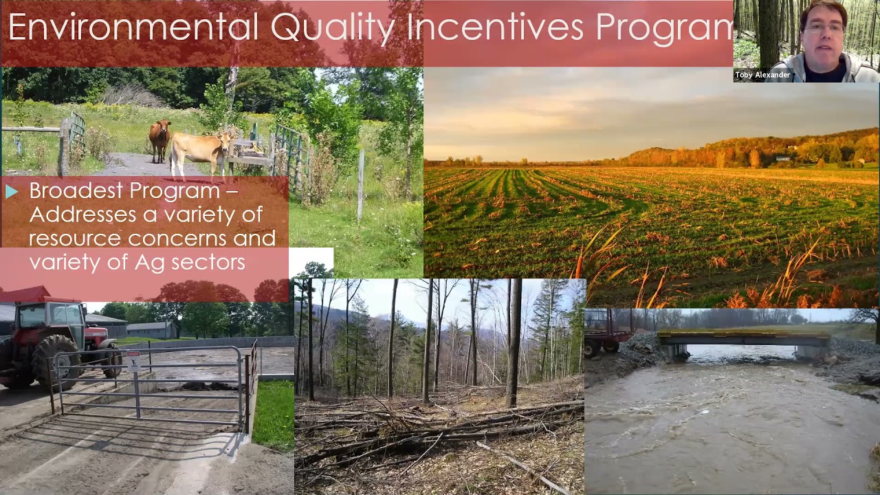 NRCS Programs for Forest Landowners