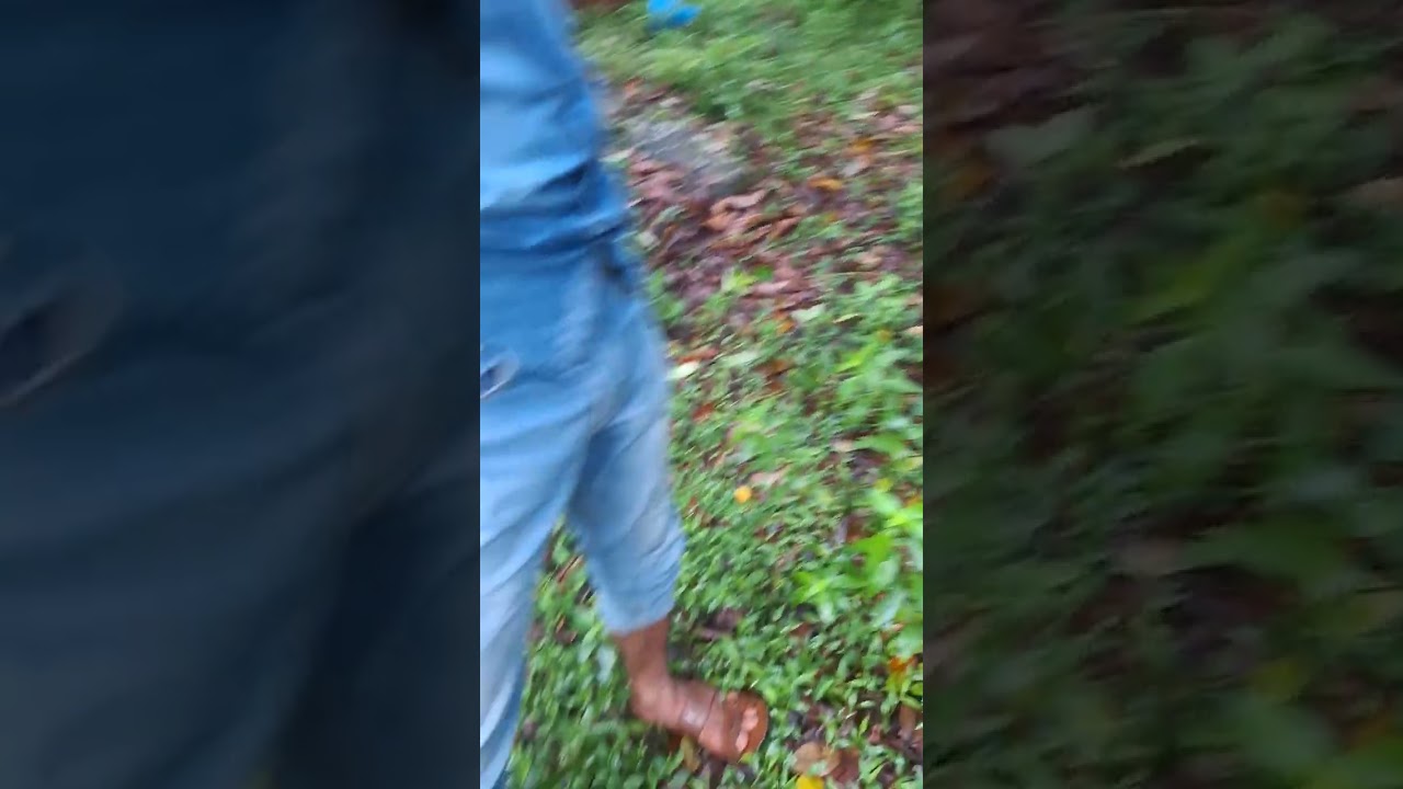 p 116 ක  සින්නක්කර ඉඩමක් සමග නිවසක්