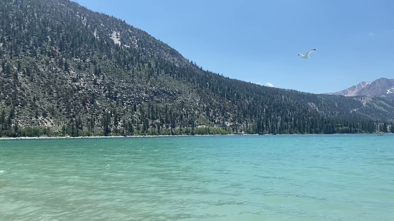 June Lake California 2021