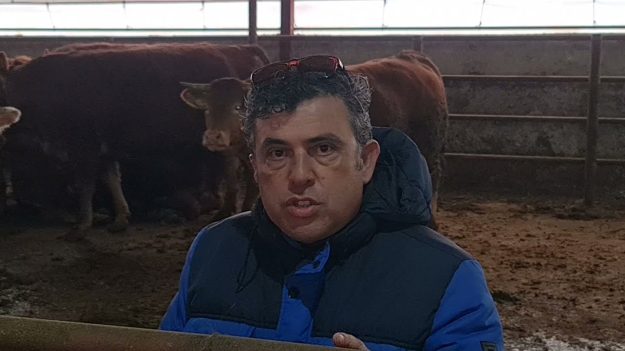 Rota Rasyonel Hayvan Besleme.