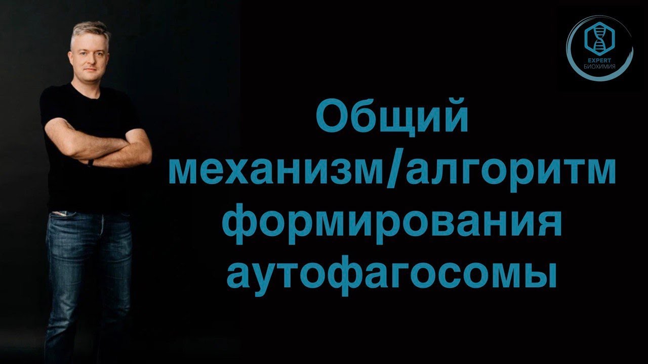 Общий механизм/алгоритм формирования аутофагосомы