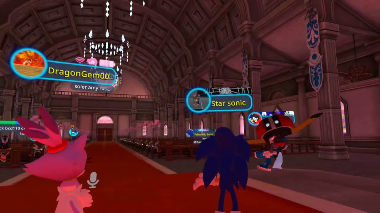 Hawk Sonic Vrc wedding video Star Sonic X Dragongem
