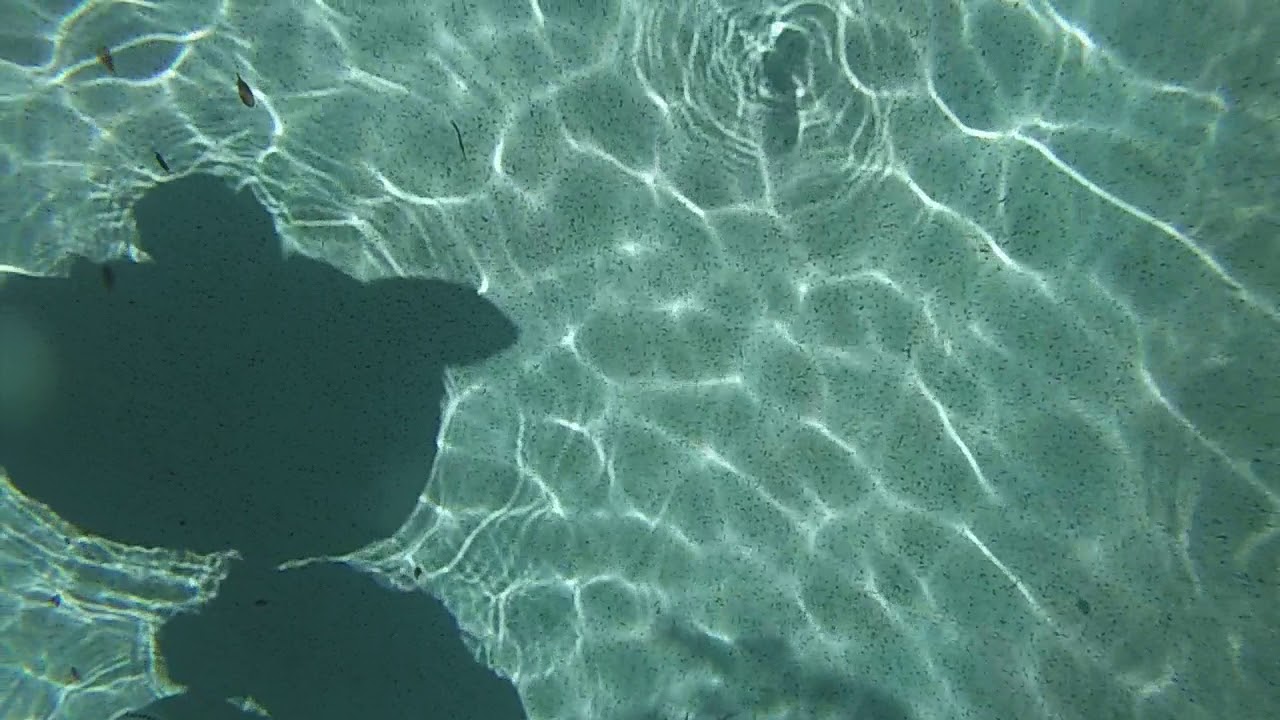 Amanda throws camera in pool, net
