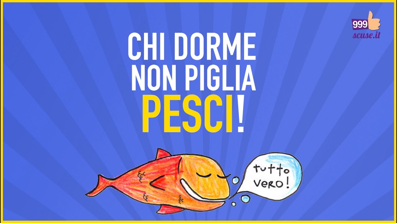 PROVERBI POPOLARI tra la gente - What's UP?