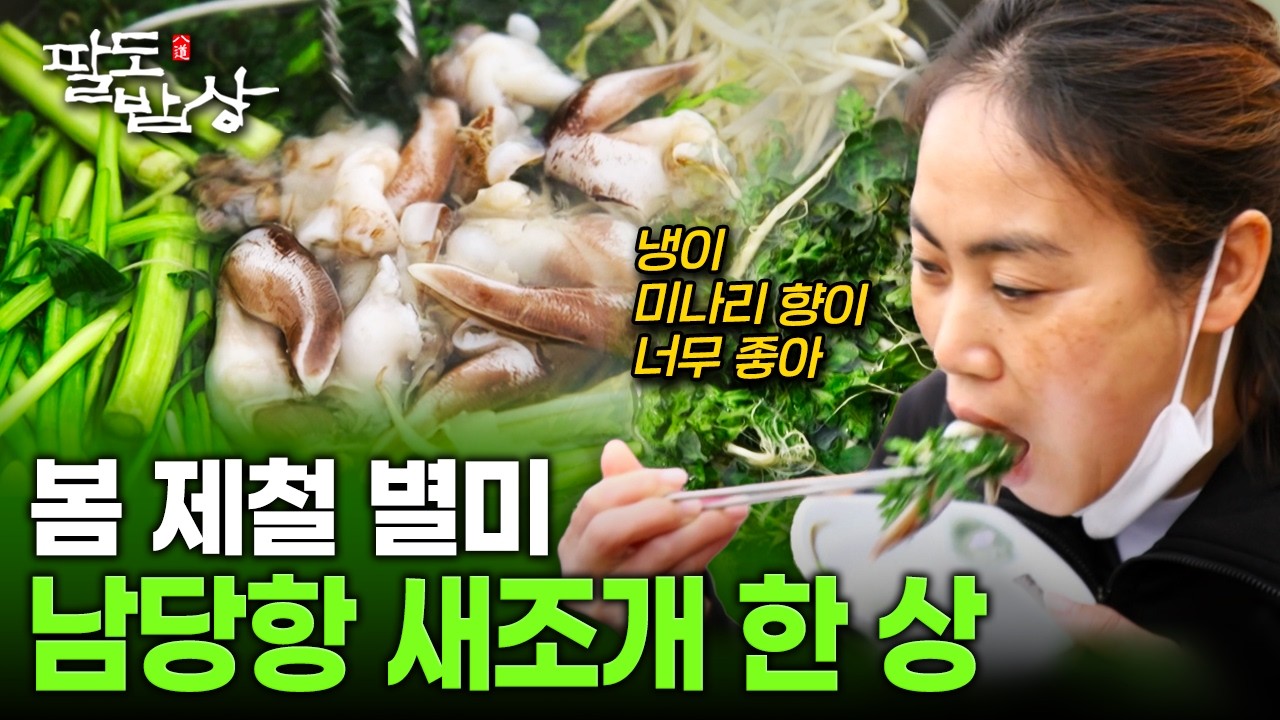충남 홍성 남당항.. 씹을수록 단맛, 봄 제철 새조개로 차린 바다 한 상 | KBS 260314 방송