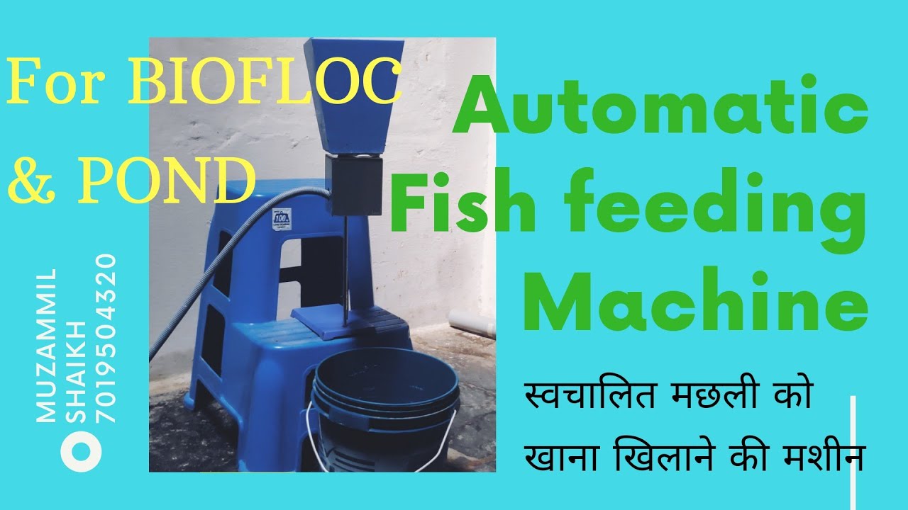 Fully Automated Fish feeder.