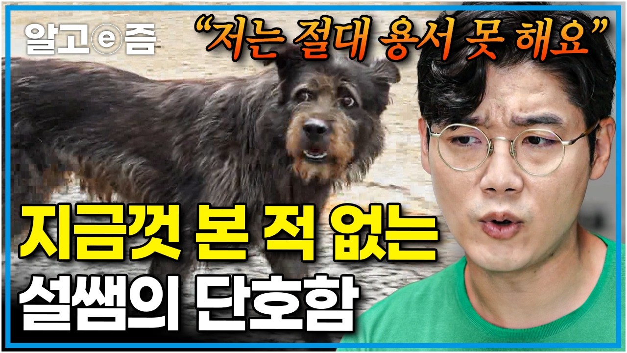 “미국이었으면 안락사예요” 이 모든 상황들이 보호자 때문이라는 설쌤의 따끔한 일침｜세상에 나쁜 개는 없다｜알고e즘