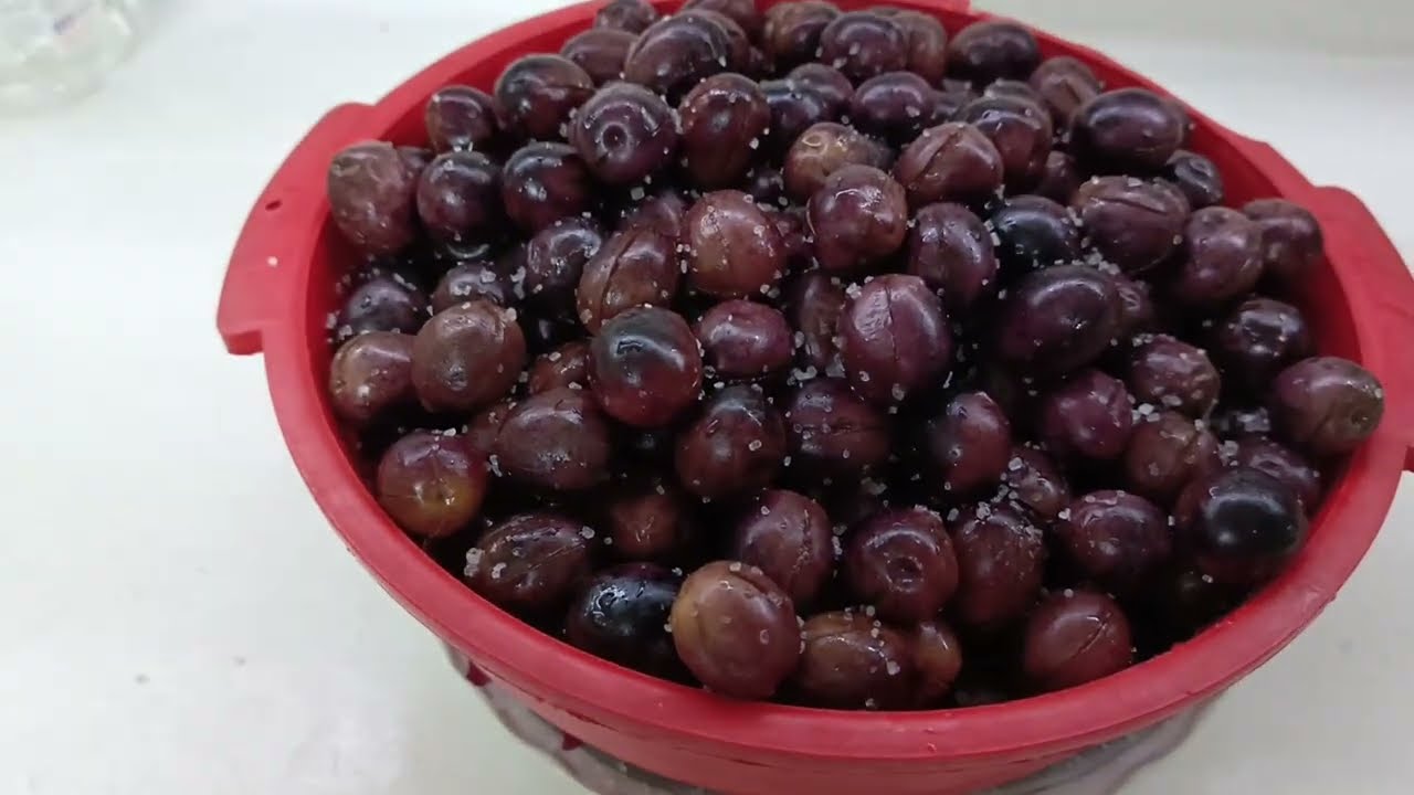 زيتون اسود