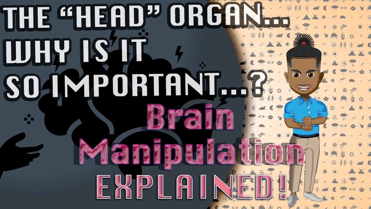 The Brainwave Blueprint: A GUIDE to Brain Manipulation EXPLAINED!!!