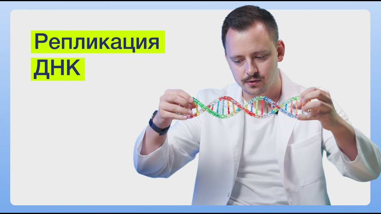Репликация ДНК | SYNAPSE