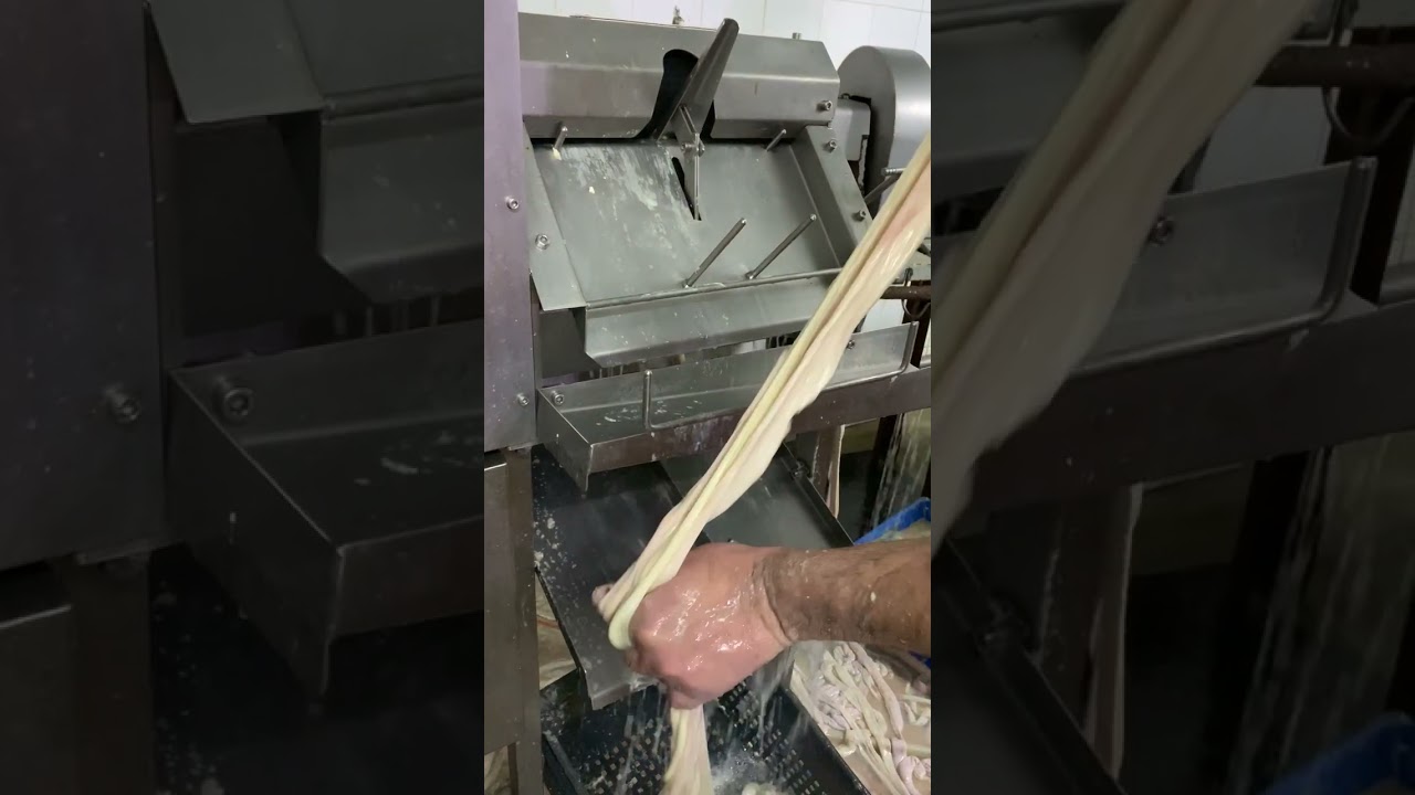 SSD Fresh Beef Casing Cleaning Machine 2023.