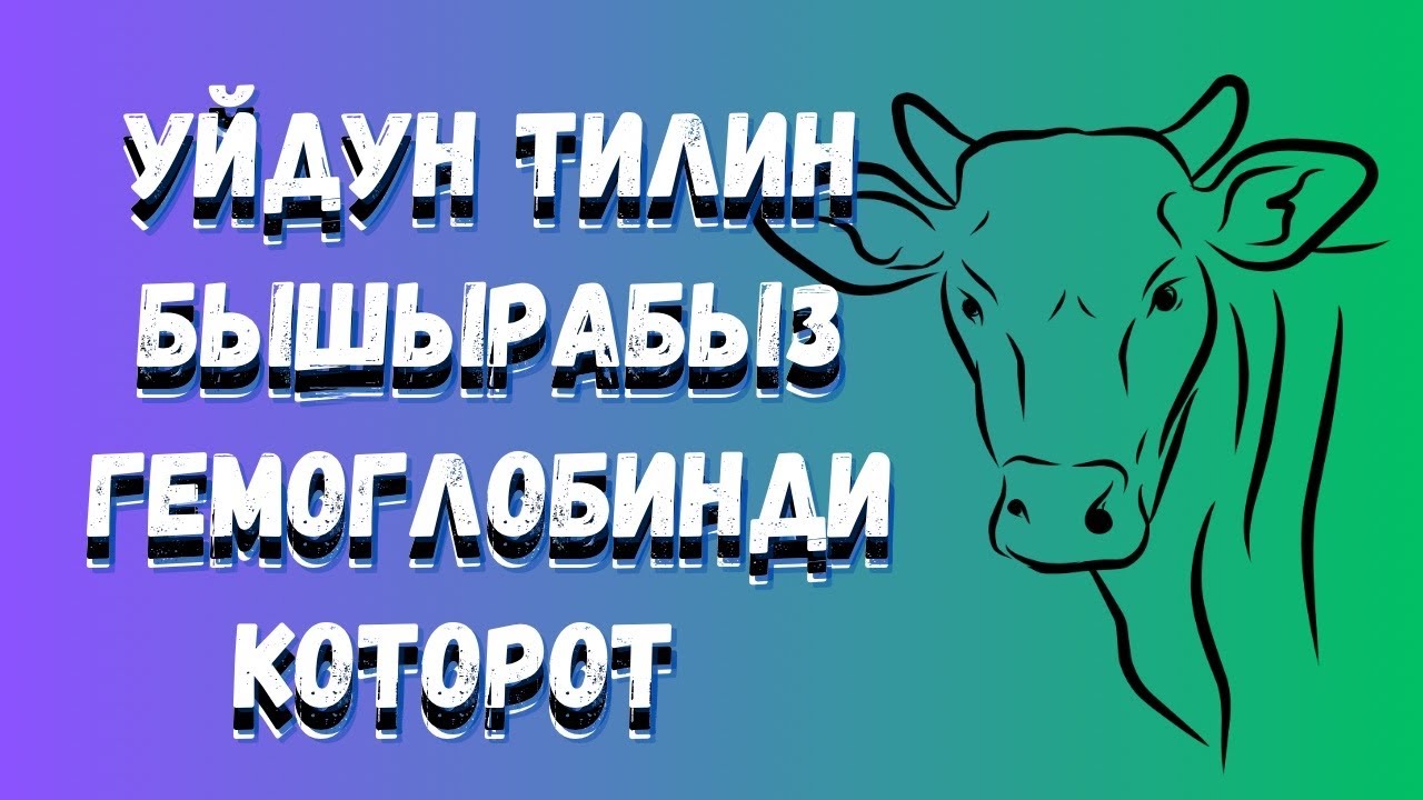 Уйдун тилин кантип тазалап бышырабыз!
