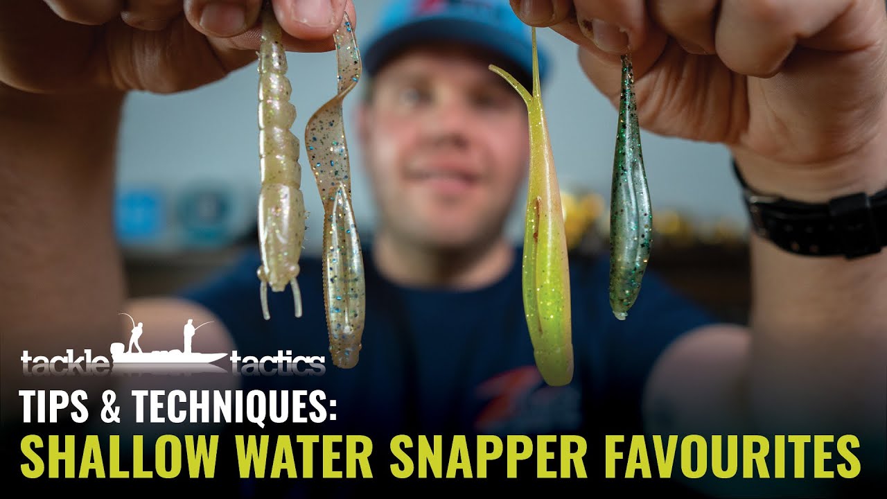 Favourite ZMan Models for Shallow Water Snapper